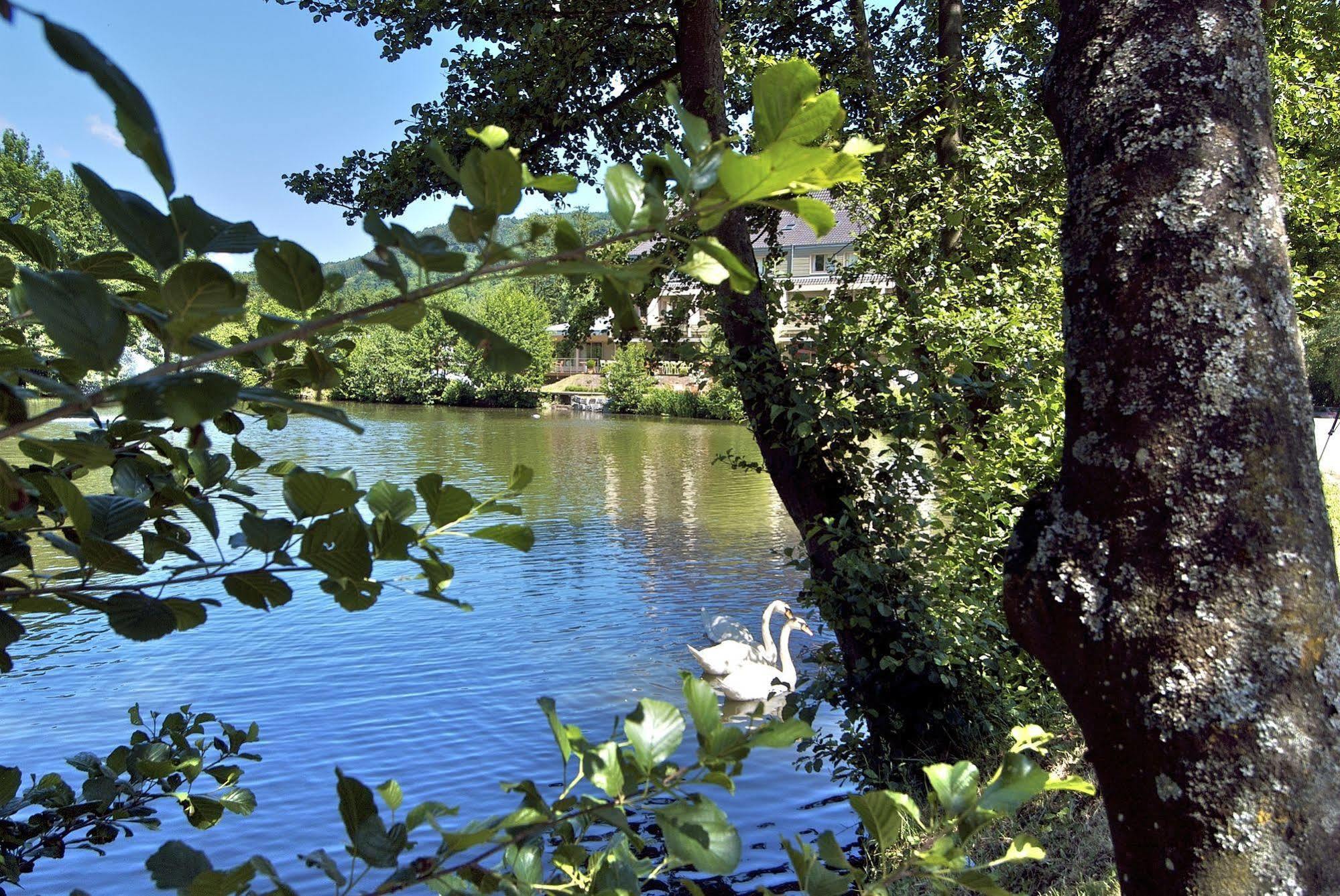 Hotel Les Rives Guebwiller Εξωτερικό φωτογραφία